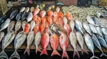 أسعار السمك في سوق العبور تثير اهتمام المشترين والبائعين اليوم